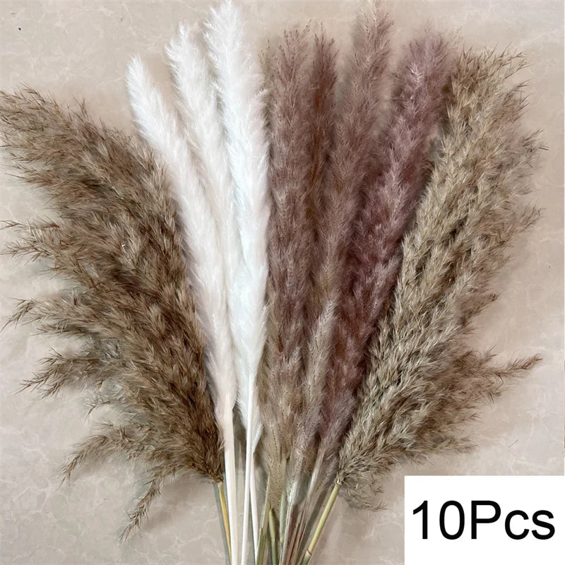 Fluffy Pampas Grass Decoration Boho Wedding Floral Arrangement Natural Phragmites Dried Flowers Bouquet Home Coffee Table Decor