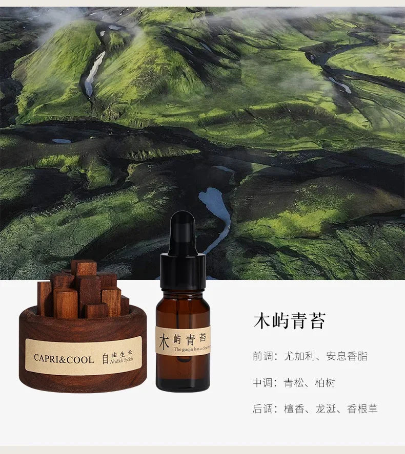 Aroma Diffuser Stick Home Fragrance Reed Diffusers Essential Oil Rose Sea Sandal Aromatic Diffuser Creative Wooden Aromatherapy