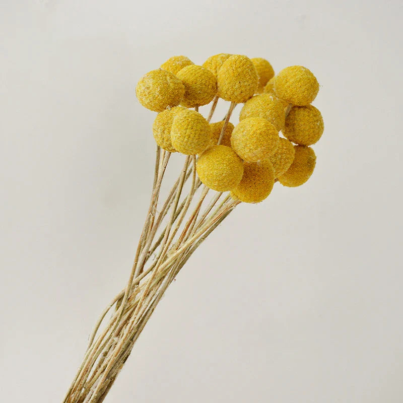 Fluffy Pampas Grass Decoration Boho Wedding Floral Arrangement Natural Phragmites Dried Flowers Bouquet Home Coffee Table Decor