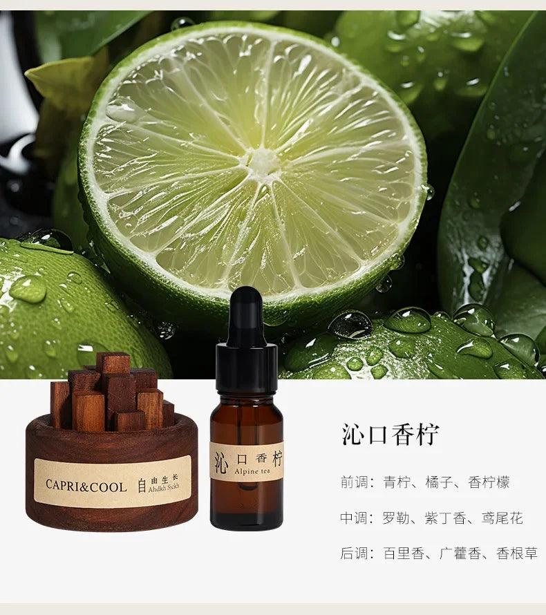 Aroma Diffuser Stick Home Fragrance Reed Diffusers Essential Oil Rose Sea Sandal Aromatic Diffuser Creative Wooden Aromatherapy