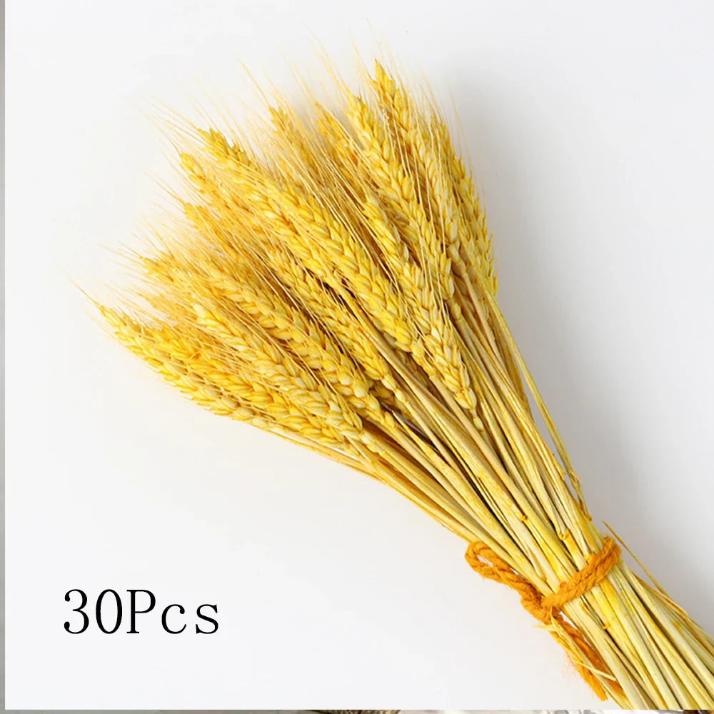 Fluffy Pampas Grass Decoration Boho Wedding Floral Arrangement Natural Phragmites Dried Flowers Bouquet Home Coffee Table Decor