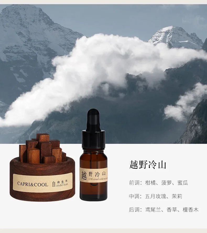 Aroma Diffuser Stick Home Fragrance Reed Diffusers Essential Oil Rose Sea Sandal Aromatic Diffuser Creative Wooden Aromatherapy