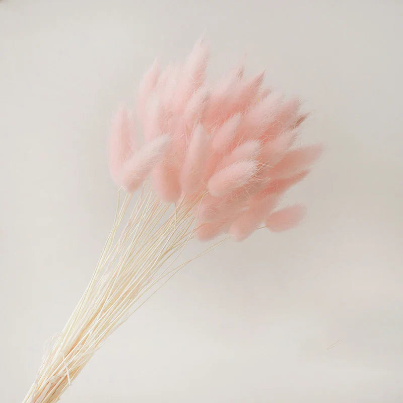 Fluffy Pampas Grass Decoration Boho Wedding Floral Arrangement Natural Phragmites Dried Flowers Bouquet Home Coffee Table Decor