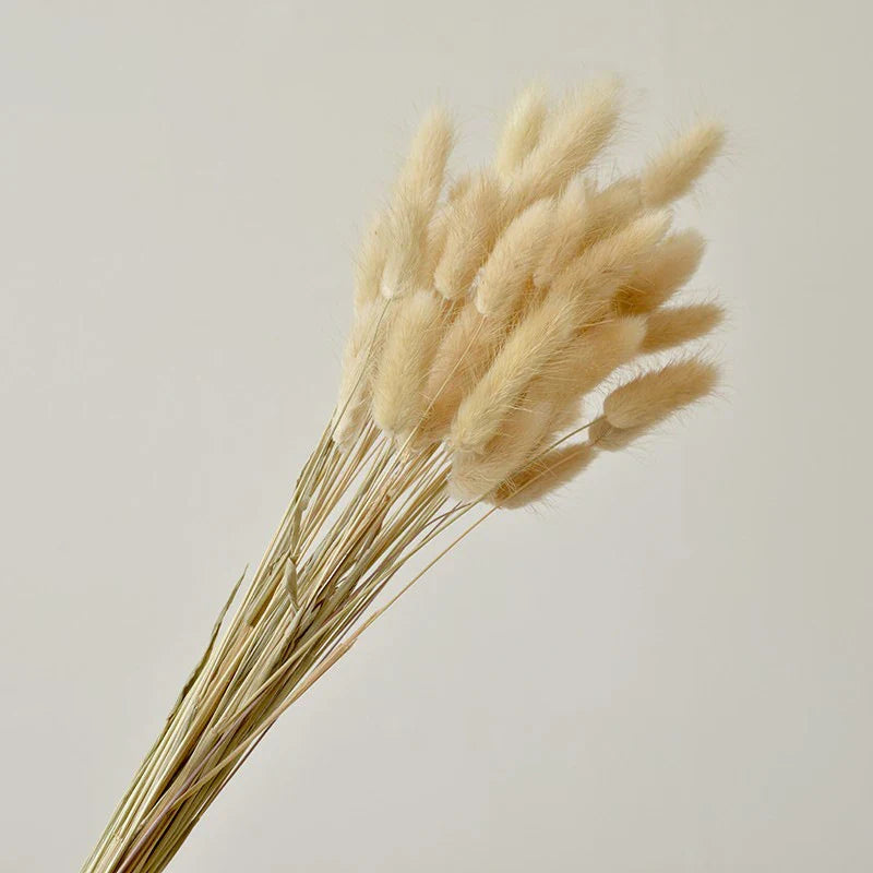 Fluffy Pampas Grass Decoration Boho Wedding Floral Arrangement Natural Phragmites Dried Flowers Bouquet Home Coffee Table Decor