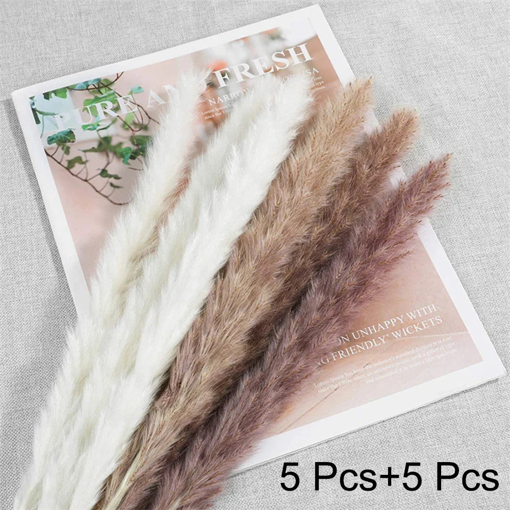Fluffy Pampas Grass Decoration Boho Wedding Floral Arrangement Natural Phragmites Dried Flowers Bouquet Home Coffee Table Decor