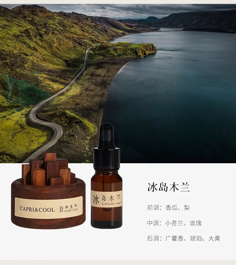 Aroma Diffuser Stick Home Fragrance Reed Diffusers Essential Oil Rose Sea Sandal Aromatic Diffuser Creative Wooden Aromatherapy