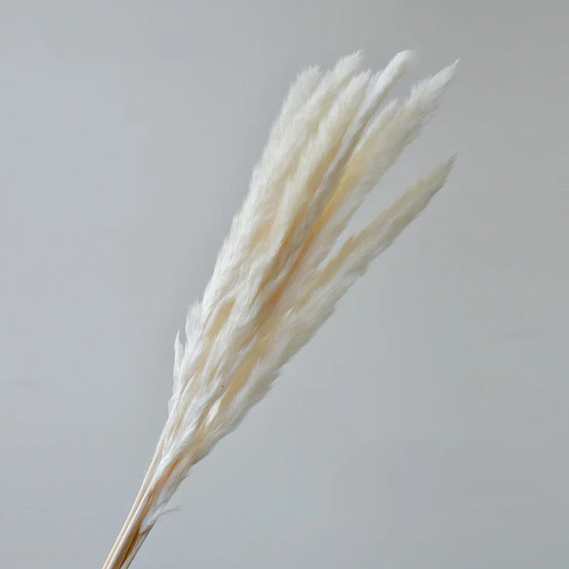 Fluffy Pampas Grass Decoration Boho Wedding Floral Arrangement Natural Phragmites Dried Flowers Bouquet Home Coffee Table Decor